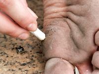 Feet - Julia E - 2011-11-28 Evening barefoot stroll