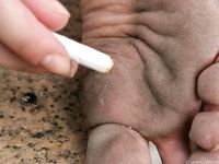 Feet - Julia E - 2011-11-28 Evening barefoot stroll