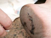 Feet - Julia E - 2011-11-28 Evening barefoot stroll