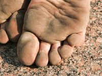 Feet - Julia E - 2011-11-28 Evening barefoot stroll