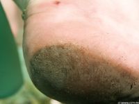 Feet - Julia F - 2011-12-25 Barefoot girl in sea-green dress