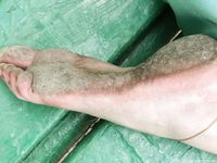 Feet - Julia F - 2011-12-25 Barefoot girl in sea-green dress