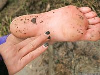 Feet - Julia G - 2012-12-21 Slush and puddles