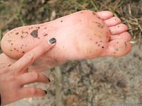 Feet - Julia G - 2012-12-21 Slush and puddles