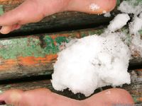 Feet - Julia G - 2012-12-21 Slush and puddles