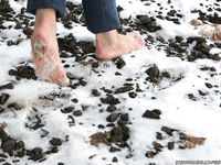 Feet - Kapa - 2011-07-02 Tough feet in snow