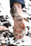Feet - Kapa - 2011-07-02 Tough feet in snow