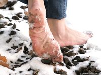 Feet - Kapa - 2011-07-02 Tough feet in snow