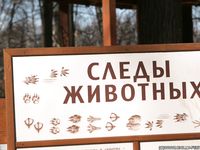 Feet - Kapa - 2011-07-02 Tough feet in snow