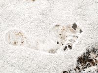 Feet - Karina A - 2015-03-21 Cold feet