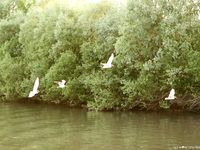 Feet - Katya A + Olga - 2007-12-03 Barefoot trips to Russian towns. Ryazan