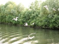 Feet - Katya A + Olga - 2007-12-03 Barefoot trips to Russian towns. Ryazan