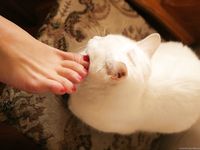 Feet - Katya B + Unknown blonde - 2011-01-14 Mega mall shopping