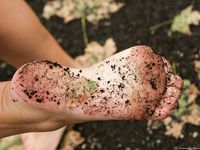 Feet - Katya B - 2010-09-13 Cold rain and wind