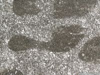 Feet - Katya E - 2011-03-27 Shivering bare feet