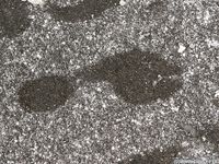 Feet - Katya E - 2011-03-27 Shivering bare feet