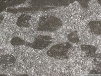 Feet - Katya E - 2011-03-27 Shivering bare feet