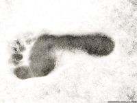 Feet - Kristina - 2012-04-05 Spring thaw