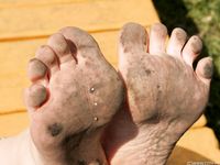 Feet - Ksenia B - 2011-07-02 Different barefoot experience