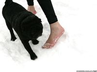 Feet - Ksenia D - 2013-03-13 Tall girl in the snow