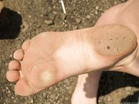 Feet - Ksenia E - 2013-10-26 Summer heat