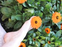 Feet - Lena + Helen G - 2006-03-31 Barefoot girls in Turkey