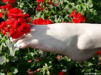 Feet - Lena + Nastya + Alla - 2003-10-15 A weekend in the park