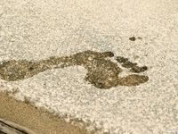 Feet - Lena C - 2007-03-10 Pretty girls with dare feet