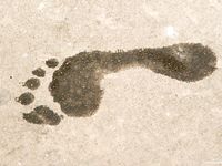 Feet - Lena D + Luba B - 2007-10-26 Barefoot babes