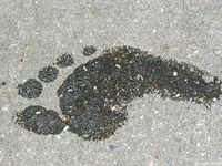 Feet - Lena F - 2010-06-09 Feet with high arches