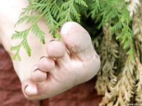 Feet - Lena F - 2010-06-09 Feet with high arches