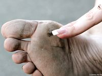 Feet - Lena F - 2010-06-09 Feet with high arches