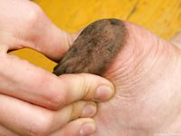 Feet - Lena G - 2011-10-31 Beauty with dirty soles