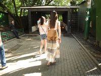 Feet - Lena H - 2018-06-04 Torn sandals