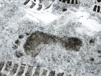 Feet - Lika - 2014-05-22 Barefoot in the legwarmers