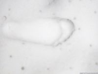 Feet - Lika - 2014-05-22 Barefoot in the legwarmers