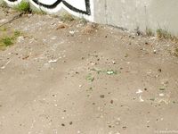 Feet - Lilia + Anna - 2008-02-11 Naughty bare feet