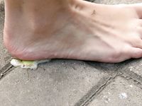 Feet - Maggie - 2009-11-26 Sunny girl with dirty soles