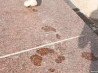 Feet - Margarita - 2008-05-20 Pretty barefoot girl