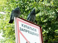 Feet - Margarita - 2008-11-17 Teasing bare feet