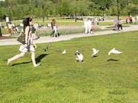 Feet - Maria A -2009-07-24 Barefoot walk in the city