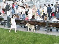 Feet - Maria A -2009-07-24 Barefoot walk in the city