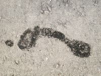 Feet - Maria D - 2014-04-04 Slender girl in shorts