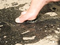 Feet - Maria D - 2014-04-04 Slender girl in shorts