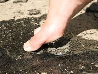 Feet - Maria D - 2014-04-04 Slender girl in shorts