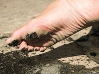 Feet - Maria D - 2014-04-04 Slender girl in shorts