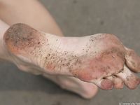 Feet - Marina - 2005-08-03 Barefoot stroll