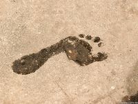 Feet - Marina A - 2012-12-07 Beauty in light summer dress and sunglasses