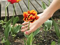Feet - Marisha + Ksusha - 2007-06-01 Barefoot trips to Russian towns. Serpukhov