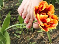 Feet - Marisha + Ksusha - 2007-06-01 Barefoot trips to Russian towns. Serpukhov